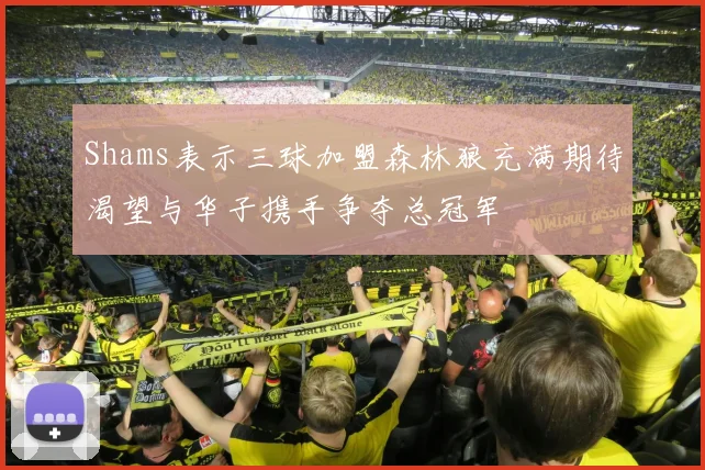 Shams表示三球加盟森林狼充满期待渴望与华子携手争夺总冠军