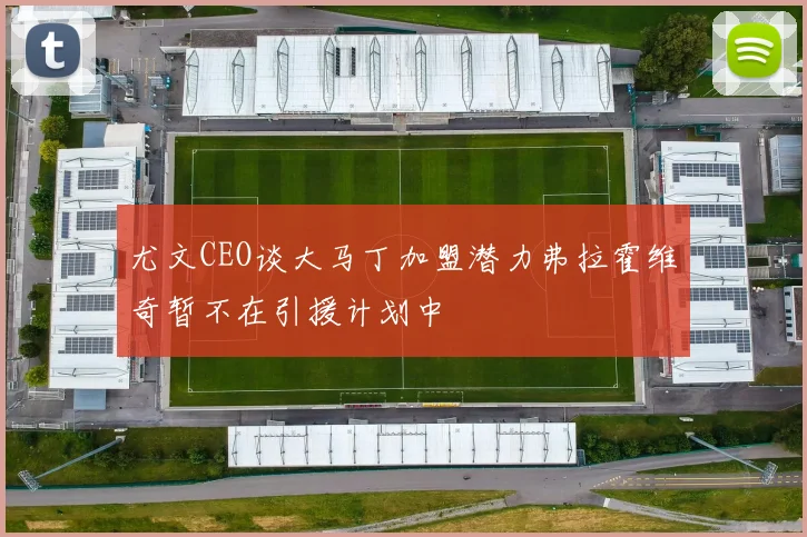尤文CEO谈大马丁加盟潜力弗拉霍维奇暂不在引援计划中